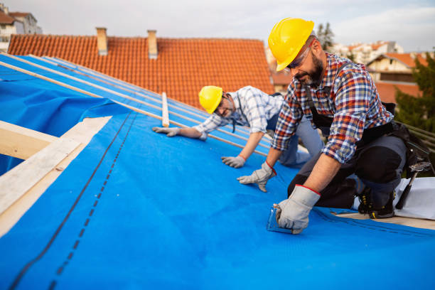 Best Flat Roof Repair Services  in Bellmawr, NJ